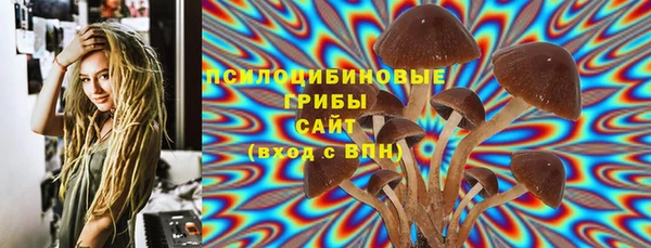 стаф Алексеевка